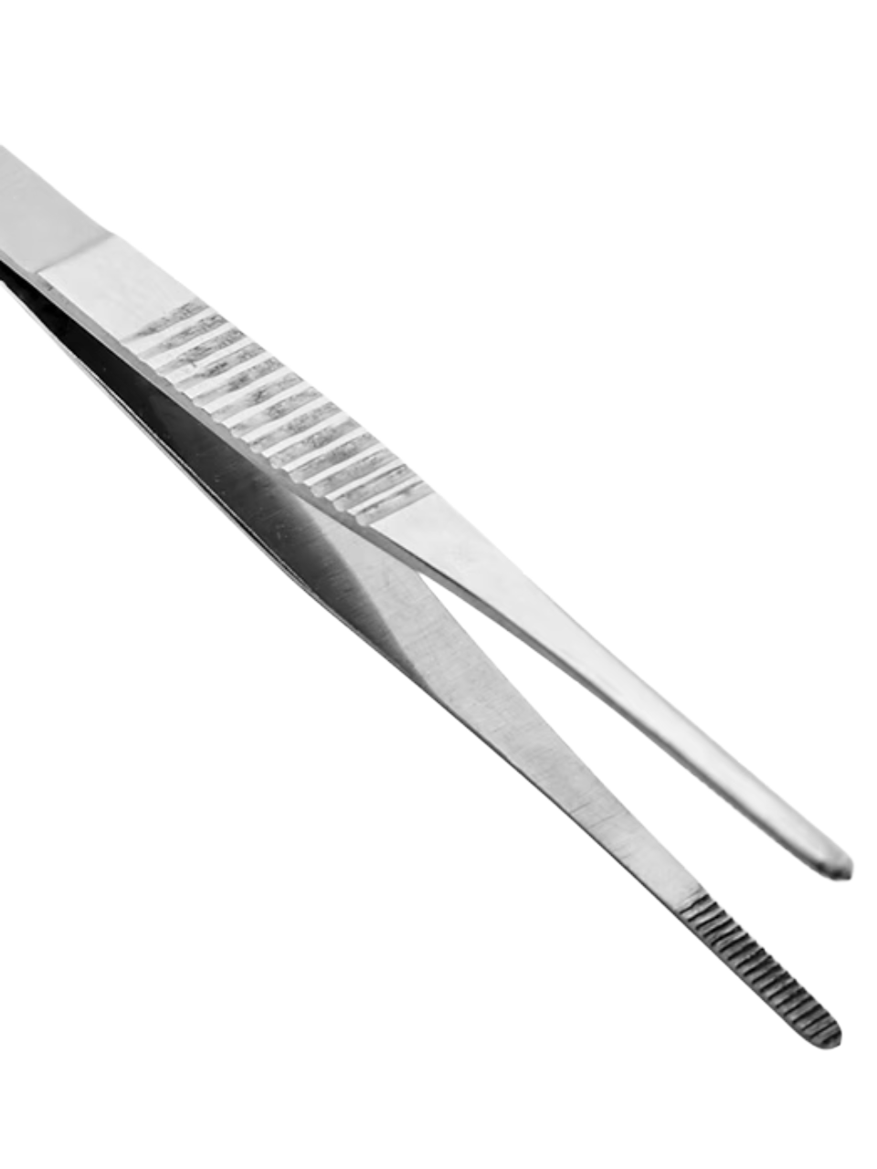 Plain Dissecting Forceps 